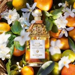 Guerlain Aqua Allegoria Harvest Mandarine Basile -Tienda De Perfumes 3346470146990 2 eda2