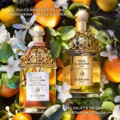 Guerlain Aqua Allegoria Harvest Mandarine Basile -Tienda De Perfumes 3346470146990 4 84bd