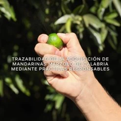 Guerlain Aqua Allegoria Harvest Mandarine Basile -Tienda De Perfumes 3346470146990 5 2001