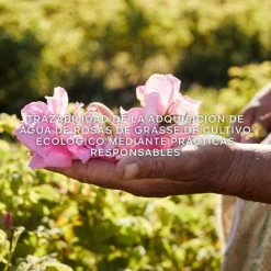 Guerlain Aqua Allegoria Harvest Rosa Rossa -Tienda De Perfumes 3346470147003 5 f13f