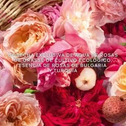 Guerlain Aqua Allegoria Harvest Rosa Rossa -Tienda De Perfumes 3346470147003 3 d3a8