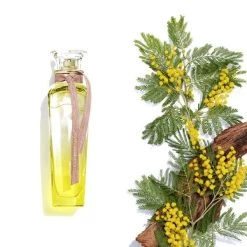 ADOLFO DOMINGUEZ Agua Fresca De Mimosa Coriandro EDT -Tienda De Perfumes 4AF05581 3 e9a5