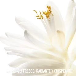 DIOR J'ADORE Eau De Toilette Roller-pearl