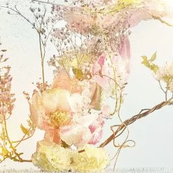 Rivières De Cartier Insouciance