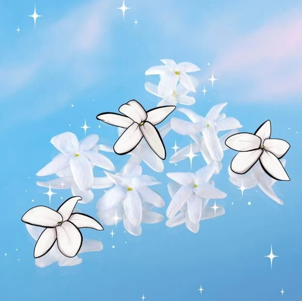 Escada Cherry In Japan EDT Edición Limitada 5 Escada Cherry In Japan EDT Edición Limitada - Imagen 5