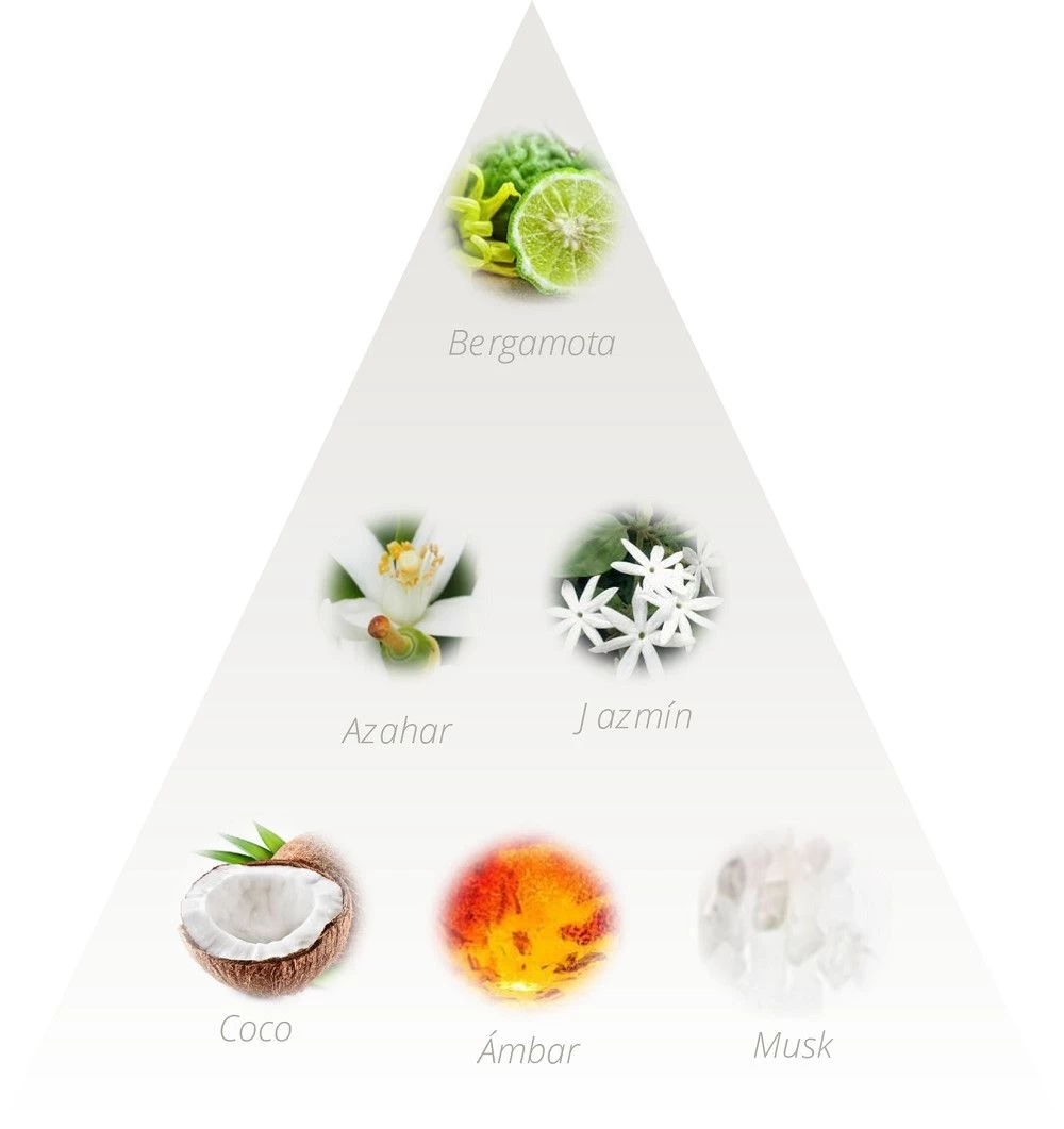 Paraiso Escarchado EDT 3 Paraiso Escarchado EDT - Imagen 3