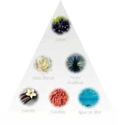 Elixir Desnudo EDT -Tienda De Perfumes 4AF07701 2 3bf7