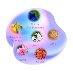 Custo Barcelona I Am The Power Eau De Parfum