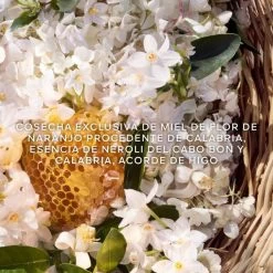 Guerlain Aqua Allegoria Harvest Nerolia Vetiver Eau De Toilette -Tienda De Perfumes aqua allegoria harvest nerolia vetiver eau de toilette3 686a